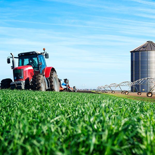 Producción agrícola y alimentaria con silos de maquinas tractoras y sistema de riego