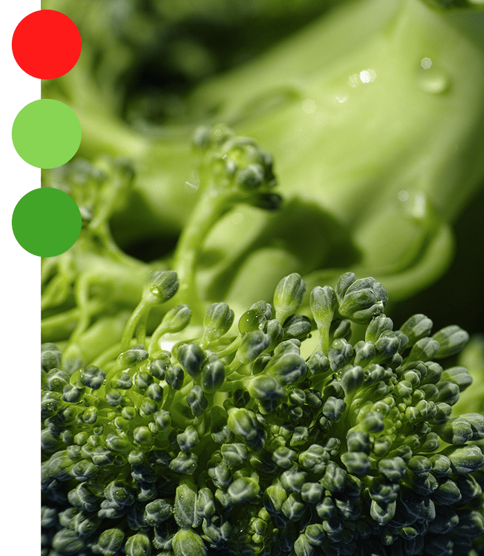 Macro detalle de un brócoli